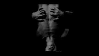 Rabih Beaini - Song Of Extreme Happiness (feat Piero Bittolo Bon)