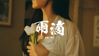 劉宇 - 雨滴『雨滴墜入愛河 緋紅的傍晚這曖昧餘光有些熾熱，藕荷色雲朵倒映眼底 頭髮打濕了零亂了，浪漫氛圍 琥珀色輪廓雲降落。』【動態歌詞/Pinyin Lyrics】