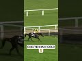 Galopin DeChamps wins the 2024 Cheltenham Gold Cup #youtubeshorts #horseracing #horse #racing #fyp