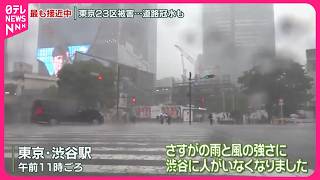 【「台風7号」による首都圏被害】倒木や電柱折れ、道路冠水も…