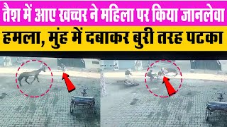 तैश में आए खच्चर ने महिला को मुंह में दबाकर बुरी तरह पटका, Cctv में कैद हुई Video