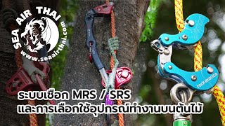 Rope systems and selection of equipment for working on trees