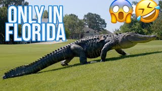ONLY IN FLORIDA #1 😂