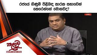 රජයේ ගිණුම් පිළිබඳ  කාරක සභාවෙන් කෙරෙන්නේ මොනවද?