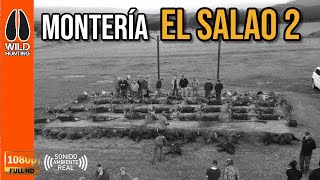 MONTERÍA EL SALAO 2 2025 | WILD HUNTING ROPA DE CAZA Y TIEMPO LIBRE #281