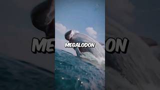 Como morreu o último Megalodon?