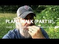 Wild Edible, Useful, Medicinal, and Poisonous Plants of the Northeast Part III