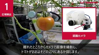 ヤンマー大玉トマト収穫ロボット（プロトタイプ）