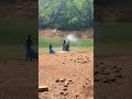 elephantbathingvideo ആന ആനച്ചന്തം ആനക്കുളി elephant