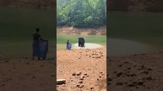 #elephantbathingvideo #ആന #ആനച്ചന്തം #ആനക്കുളി #elephant