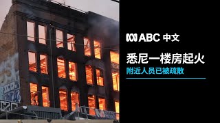 突发：悉尼市中心一栋建筑发生大火 楼内人员已疏散丨ABC中文