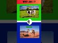 Animal Guess Part 5  #quiz #education #animals #games #shorts