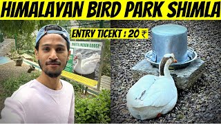 Himalayan Bird Park Shimla | Tourist Places Shimla