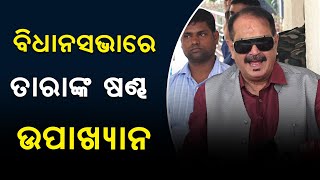 ବିଧାନସଭାରେ ଉଠିଲା ଷଣ୍ଢ ପ୍ରସଙ୍ଗ, କେଉଁଠି ଅଛନ୍ତି କେତେ ଷଣ୍ଢ ହେଲା ହିସାବ ନିକାସ ।