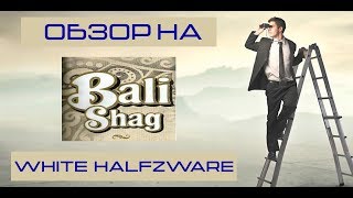 ОБЗОР НА ТАБАК BALI SHAG WHITE HALFZWARE | А ГДЕ КЕНТУККИ? | MR. NICOTINE