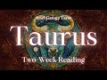Taurus Two-Week Tarot Reading 6/13/24