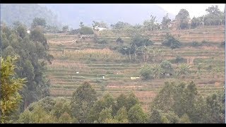 Kanthalloor View [ Idukki, Kerala, India ]