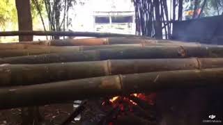 Straightening bamboo poles at Bamboo Master Co.