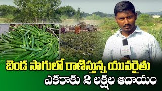 How to Earn High Profits in Lady Finger Farming || Benda Sagu || Profitable Farming || SumanTV Rythu