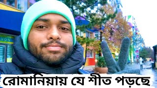 রোমানিয়ায় যে শীত পড়ছে || ডিসেম্বর থেকে রোমানিয়ায় পুরোপুরি শীত পড়তে শুরু করেছে