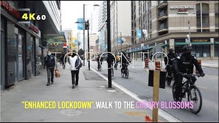 Toronto Enhanced Lockdown Walk-Checking Out The Cherry Blossoms At U of T \u0026 Hoping I Don't Get Fined