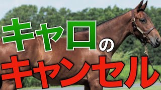 キャロットクラブのキャンセル募集が来た！さすがの良血馬揃う。