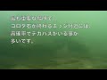 【琵琶湖バス釣り】北山田ゴロタエッジ付近にデカバス発見