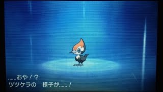 ポケモン サン・ムーン　ツツケラ進化！