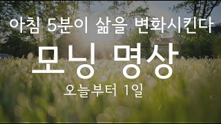 아침명상 의식있는 하루의 시작 ㅣ삶이 달라집니다