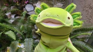 Morisaka Global (Shinada Global) Large Axolotl Plush Toy Review