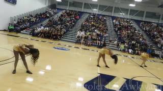 The Royal Starettes (UIS 2016 Homecoming Pep Rally)