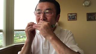 《打豺狼》Tremolo Harmonica Solo 口琴独奏