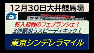 【競馬予想】東京シンデレラマイル！～２０２４年１２月３０日 大井競馬場 ：１２－３１