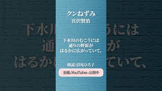 宮沢賢治 『クンねずみ』 朗読：沼尾ひろ子　現役テレビナレーターが声だけで、情景を思い浮かべられるように読み上げます。#朗読 #小説 #短編 #作業用