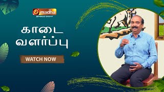 உழவும் உயர்வும் | Ulavum Uyarvum | காடை வளர்ப்பு | 27.06.2024 | #madhatv