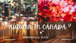 First Vlog I Fall season I Canada in Autumn 2024