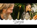 Mike Love - These Are My Roots/One Love is Action ft. Nattali Rize