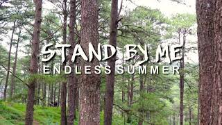 Stand By Me - Endless Summer (Music Travel Love) Cover | Lyrics