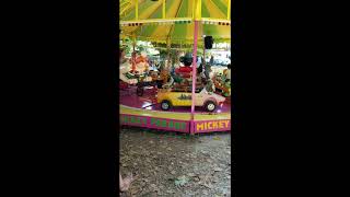 Carousel at flea market -  Brantome, France