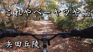 Treadwellで初トレイルコースを走った結果…