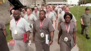 TDOC - BCOT Cadence March