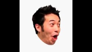 a tribute to pogchamp (gone furry)