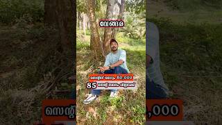 വേങ്ങരയിൽ സെന്റിന് വെറും 80,000 രൂപയ്ക്ക് സ്ഥലം വില്പനക്ക്