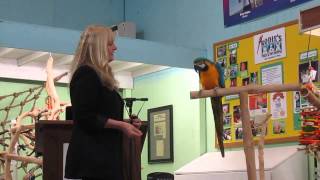 Part 1 - Target Training B\u0026G Macaw with Barbara Heidenreich at Rodies Feed \u0026 Pet Supply