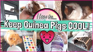 10 HOT Tips for Keeping Your Guinea Pigs COOL this Summer!!