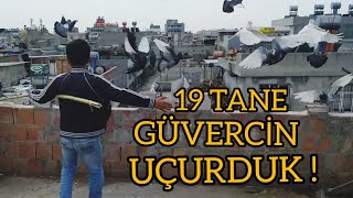 Adana Güvercini Toplu Şekilde Uçurmak ! 19 ADET ADANA