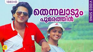 Thennalaadum Poomarathin | Kandu Kandarinju Malayalam Movie Song | K.S Chithra | Rahman |  Shankar