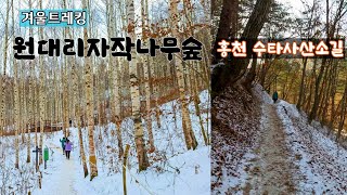 [4K] 인제 원대리자작나무숲/ 홍천 수타사산소실 겨울트레킹-24.12.25.