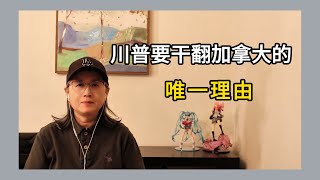 川普要干翻加拿大的唯一理由|美国|加拿大|关税|川普|美国扩张主义|格陵兰岛|特朗普|美国第51州|