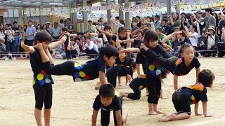 平成28年愛媛幼稚園運動会